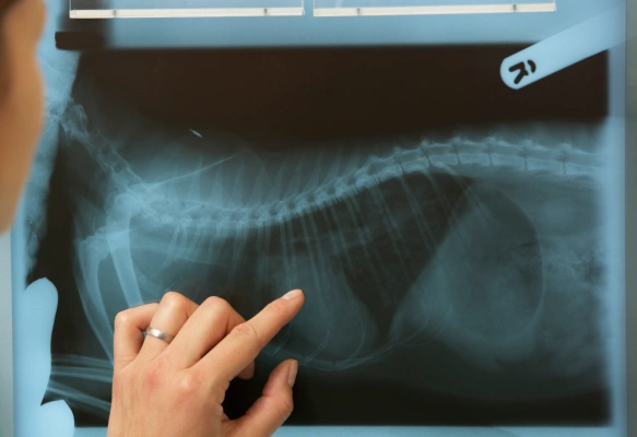 Diagnostic Care