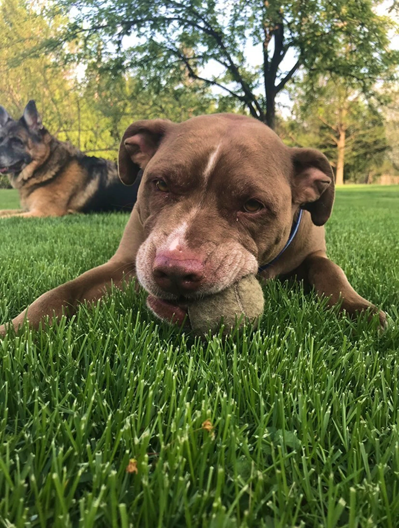 We Are Excited to Meet New Clients