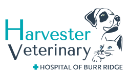 Harvester Veterinary Hospital of Burr Ridge